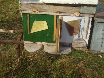 PB140012.JPG