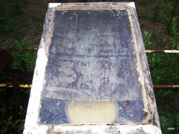 DSC03325.JPG