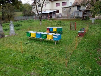 10000278_516120771888215_1574667631_n.jpg