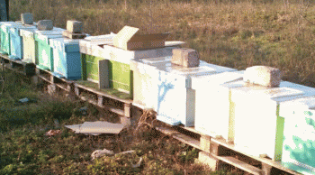 IMG_20151214_120404.gif