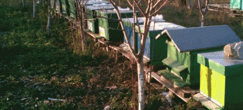 IMG-20151214-WA0013.gif
