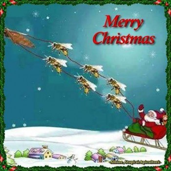 FB_IMG_1450719486647.jpg