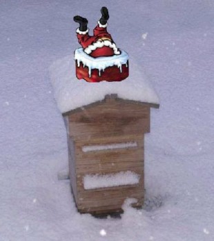 santa hive.jpg