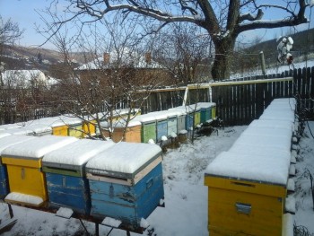 rsz_20151230_112518.jpg