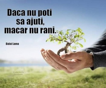 FB_IMG_1450983445901.jpg