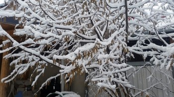 IMG-20160107-WA0001.jpg
