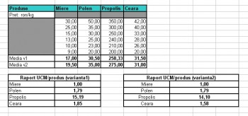 tabel_calcul_indici.jpg