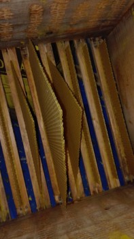 IMG_20160130_091957.jpg