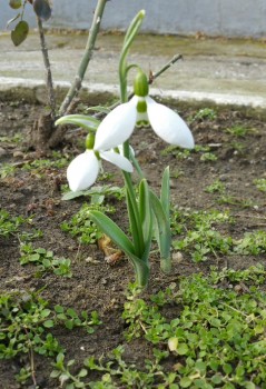 2016-02-02 22.31.36.jpg