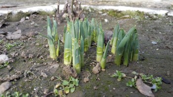 2016-02-02 22.32.55.jpg