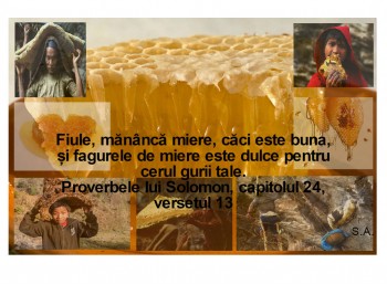 fagure.mananca4.jpg