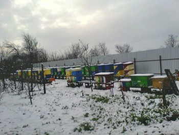 IMG00149.jpg
