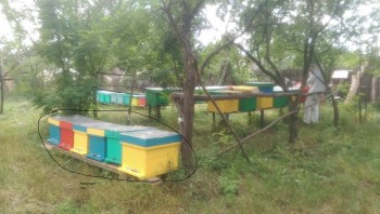 poza2.jpg