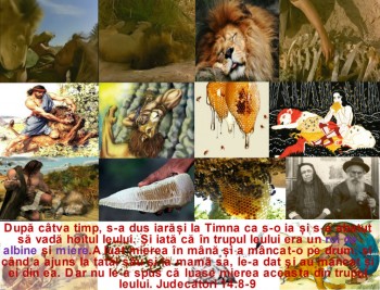 FotorCreated5.jpg