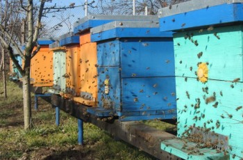 zbor curatire 14.02.2016.jpg