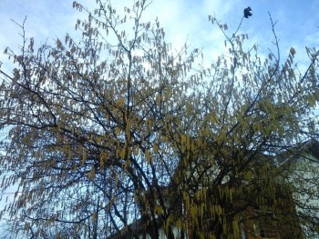 rsz_20160214_092053.jpg