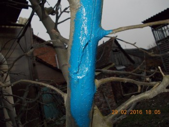 rsz_dscn1475.jpg