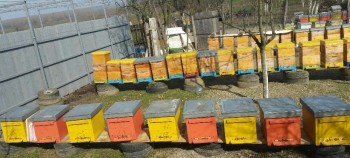 2016-03-08 09.40.52.jpg
