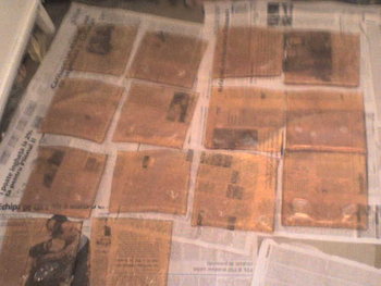 FEBR.2009 003.jpg