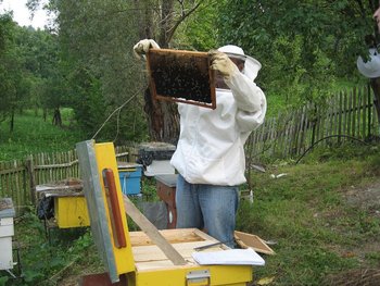 IMG_0941.jpg