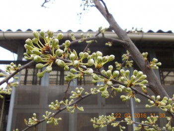 rsz_dscn1577.jpg