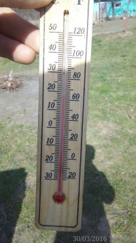 rsz_img_20160330_141454-1.jpg