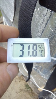 rsz_img_20160331_085525.jpg