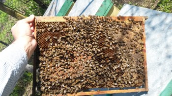 20160331_140628.jpg