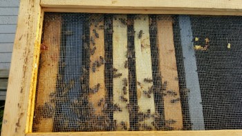 20160403_193238-800x450.jpg