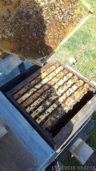 rsz_img_20160413_104256-1.jpg