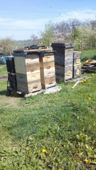 rsz_img_20160416_130236.jpg