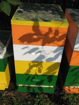 IMG_19351.JPG