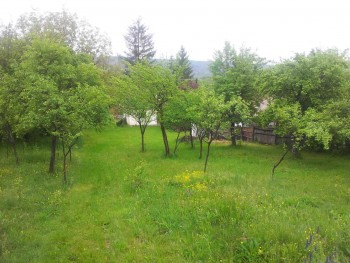 rsz_2016-05-04_095654.jpg
