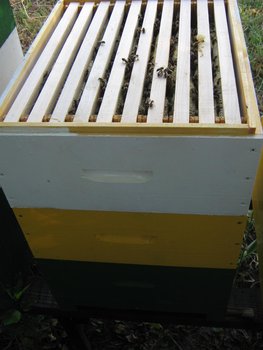 IMG_18751.JPG