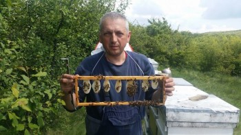 13162069_1272632589431831_27297899_n.jpg