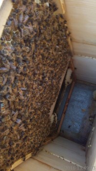 rsz_2img_20160509_134903-1.jpg