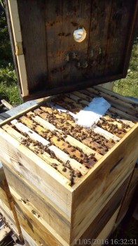 rsz_img_20160511_163231.jpg