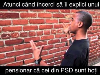 13133231_953638741419644_7783081414409871274_n.jpg