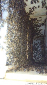 rsz_img_20160512_201223-1.jpg