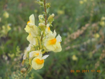 rsz_dscn1770.jpg