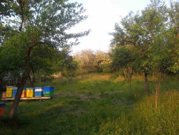 rsz_2016-05-20_201106.jpg
