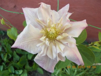 rsz_dscn1896.jpg