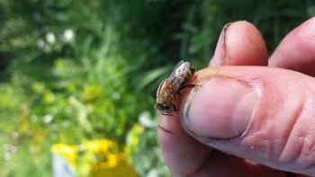 20160608_174150_640x360.jpg
