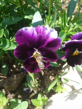 rsz_20160531_112356.jpg