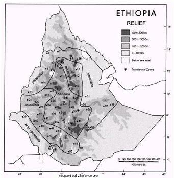 ok_19592.jpg