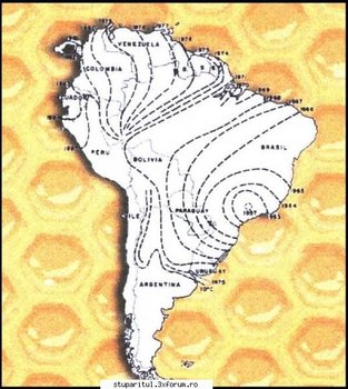 ok_19634.jpg