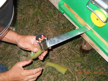 rsz_1dscn1834.jpg