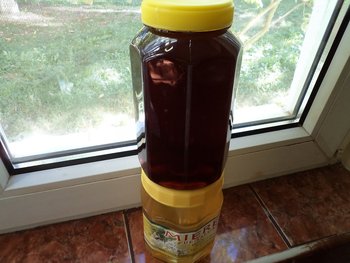 DSC00637.JPG