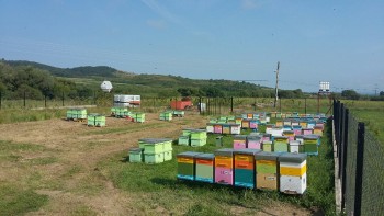 20160807_095543-1024x576.jpg