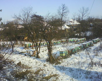 Campina 2011 020.jpg